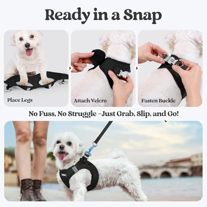 rabbitgoo Dog Harness Small Sized and Leash Set, Step in Soft Light Puppy Vest, Breathable Mesh Pet Harness, Reflective for Safe Easy Walking, Black M - color: Black, size: M (chest: 16 - 18.5")