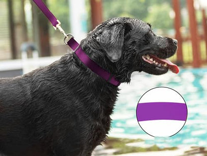 Waterproof Dog Collars,Easy Clean Collar,Adjustable Dog Collars for Small,Medium, Large Dogs(Purple, S) - color: Purple, size: S