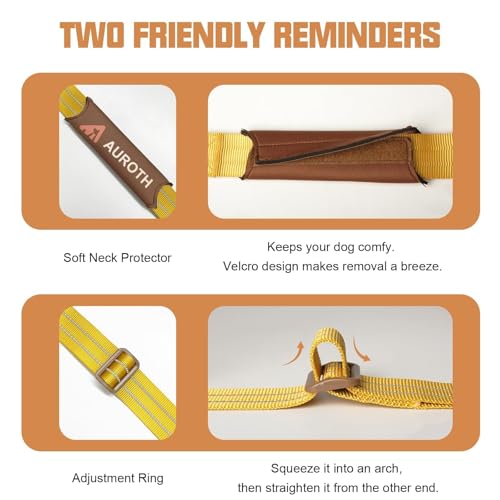 AUROTH Dog Harness and Leash Set, Soft Padded Service Vest Harness with 5.25FT Dog Leash, Easy On Pet Vest, Adjustable Reflective No Pull Dog Harnes Medium Sized, Easy Walking and Training - color: Turmeric, size: Medium