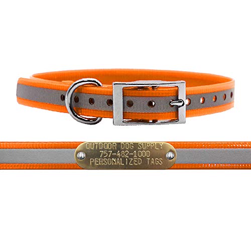 Outdoor Dog Supply Personalized 3/4” Reflective Orange Waterproof D-Ring Dog Collar for Small & Medium Dogs | 3/4" Custom Brass Nameplate (18") - color: Reflective Orange, size: 18" Long