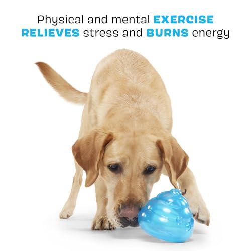 Barkbox Poopsicle Dog Toy for Medium Dogs – Perfect for Fetch and Hiding Treats, Offering a Rewarding Challenge for Dogs and Puppies - style: Poopsicle