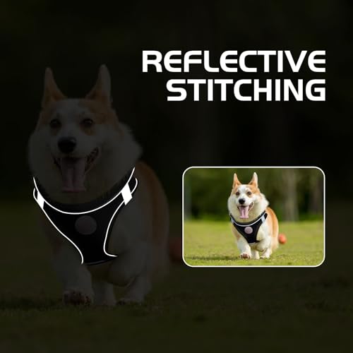 Soft Mesh Dog Harness and Leash Set, No Pull Puppy Harness and Leash Set, Reflective Step in Harness for Small Medium Dogs, Easy Walk Escape Proof Vest Harnesses (Black, S) - color: Black, size: S