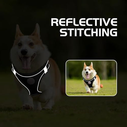 Soft Mesh Dog Harness and Leash Set, No Pull Puppy Harness and Leash Set, Reflective Step in Harness for Small Medium Dogs, Easy Walk Escape Proof Vest Harnesses (Black, M) - color: Black, size: M