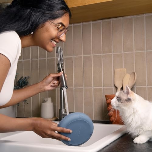 Should We Go? Slow Feeder for Dogs & Cats, The Slowdown Bowl Silicone Slow Eating Mealtime Solution with Modern Lick Mat Design, Reduces Gulping, Fits 1 Cup, 6” Across x 1.25” Tall, Small-Ocean - color: Ocean - Rainbow Design, size: Small (6” Across x 1.2