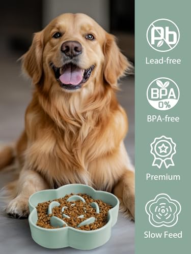 Ceramic Slow Feeder Dog/Cat Bowl, Anti-Choking Food Bowl, 8" 11.3oz for Medium, Large Breeds, Plum Puzzle Design, Non-Slip Silicone, Dishwasher and Microwave Safe, Green - color: Green