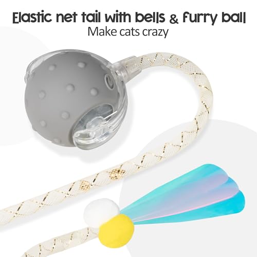 Interactive Cat Toys Ball for Indoor Cats, Automatic Moving Ball Toy with Elastic Mesh Tail, Chirping & Obstacle Avoidance and Motion Activated, Grey【Rechargeable】 - color: Grey