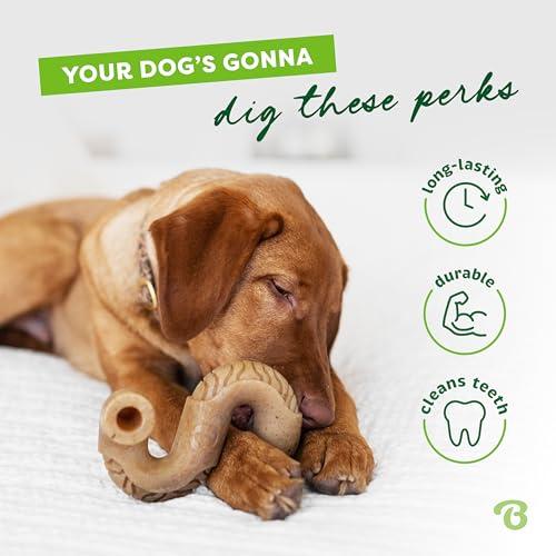 Benebone Tripe Bone Durable Dog Chew Toy for Aggressive Chewers, Real Tripe, Made in USA, Small - size: Small, style: Chew Toy
