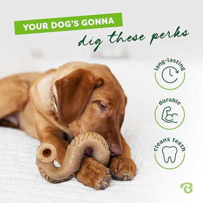 Benebone Tripe Bone Durable Dog Chew Toy for Aggressive Chewers, REAL Beef, Made in USA, Medium - size: Medium, style: Chew Toy