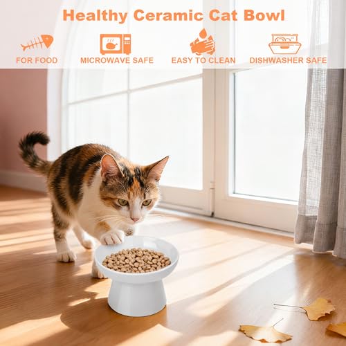 Elevated Ceramic Cat Bowl – Wide Whisker-Friendly Raised Design to Reduce Vomiting & Improve Digestion, Non-Slip Base, Lead & Cadmium Free, Dishwasher Safe (Grey) - color: Grey