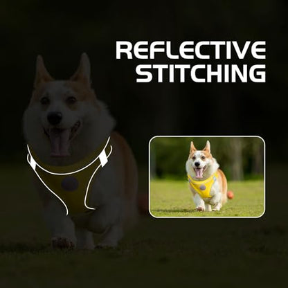 Soft Mesh Dog Harness and Leash Set, No Pull Puppy Harness and Leash Set, Reflective Step in Harness for Small Medium Dogs, Easy Walk Escape Proof Vest Harnesses (Yellow, XXS) - color: Yellow, size: XXS