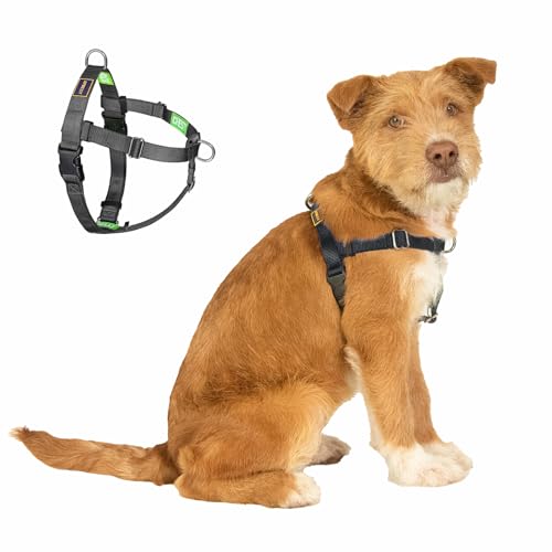 Freedom No Pull Dog Harness for Medium Dogs, Easy Walker, Anti Pulling with Two Stainless D-Rings, Comfortable, Sewn-in Instructions Tags for Easy Use (Black, M) - color: Black, size: Medium