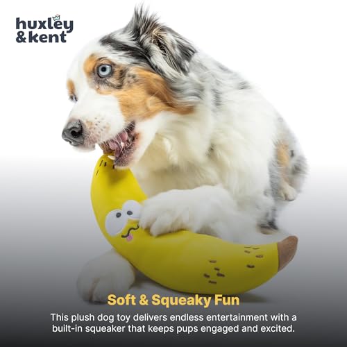 Huxley & Kent Funny Dog Toy w/Squeaker – Power Plush Squeaky Dog Toys for Small, Medium & Large Dogs – Soft Stuffed Animal for Indoor Play & Fetch - Fetchies® Bruiser Banana, Large - size: Large, style: Brusier Banana