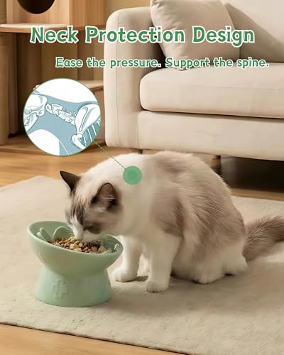 Ceramic Slow Feeder Cat Bowl, 15° Tilted Elevated Cat Slow Eating Bowl for Neck Protection, Anti Vomiting Dog Slow Feeder, Whisker Friendly & No Black Chin for Cats and Small Dogs, Green - color: 02-Green