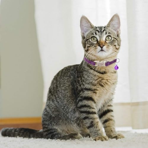 BINGPET Cat Collar Breakaway with Bell, Pack of 2 Heart Bling Collar Safety with Soft Velvet Adjustable for Kittens - color: Heart (Pink + Purple)-2pcs