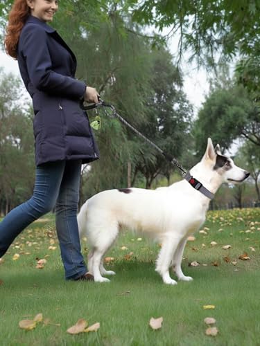 Rope Dog Leash 6 FT with Comfortable Padded Handle, Highly Reflective Threads Dog Leash for Medium Large Dogs, 1/2 inch, Grey - color: Grey