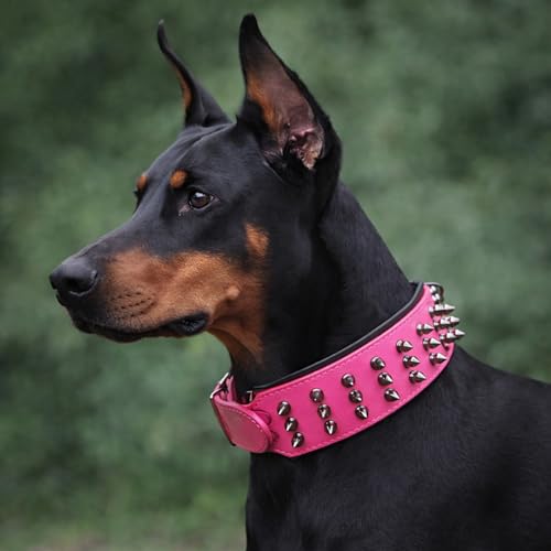 Luxury Leather Spike Dog Collar, Double-Layer Soft Cowhide, Punk Style for Medium and Large Dogs, Pit Bulls, Rowena (Pink,M-Neck 33-41cm) - color: Pink, size: M-neck 33-41cm
