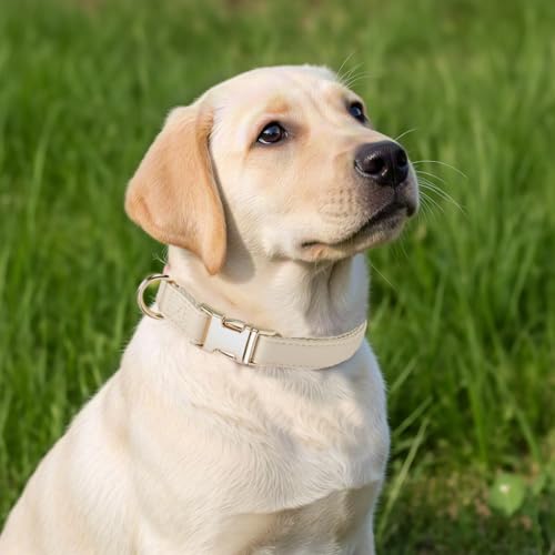 Soft Classic Leather Dog Collar Heavy Duty Padded Collars with Metal Buckle for Puppy Small Medium Dogs (Beige White,S) - color: White, size: Small