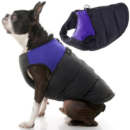 Gooby Padded Vest Dog Jacket - Purple, X-Small - Warm Zip Up Vest Fleece Jacket with Dual D Ring Leash Water Resistant for Small to Medium Dogs - color: Purple, size: X-Small