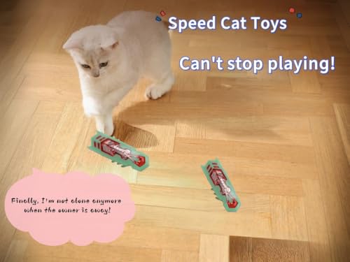 Cat Interactive Toy Educational Cat Teaser Toy 2PCS Electronic Beetle Interactive Set for Indoor Cats Kitten Chase Exercise Battery Operated - color: 2p Green