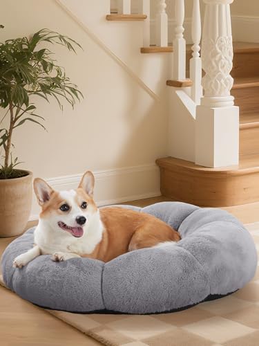 OhGeni 31 inches Calming Donut Orthopedic Dog & Cat Bed for Medium Pets, Warming Comfort Fluffy Short Pile Fur, Durable Waterproof Machine Washable Removable Cover, Round Bed for Puppy, Light Gray - color: 4-Light Gray, size: L (31"L x 31"W x 9"Th)