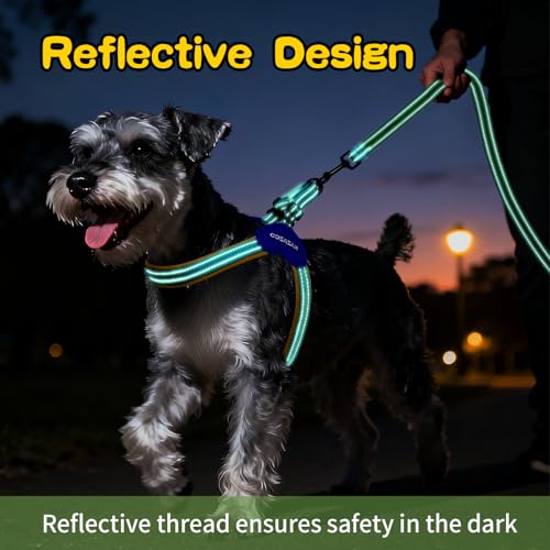 Kazazoo No Pull Small Dog Harness and Leash Set, Adjustable Puppy Soft Vest Harness with Breathable Mesh Padded, Reflective Lightweight Harness with Buckle for Extra Small Medium Dogs, Blue S - color: Yellow&Blue, size: S