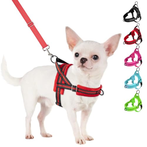 SlowTon No Pull Small Dog Harness and Leash Set, Puppy Soft Vest Harness Neck & Chest Adjustable, Reflective Lightweight Harness & Anti-Twist Pet Lead Combo for Small Medium Dogs (R-Front Clip,XS) - color: B-Red - With Front Clip, size: X-Small