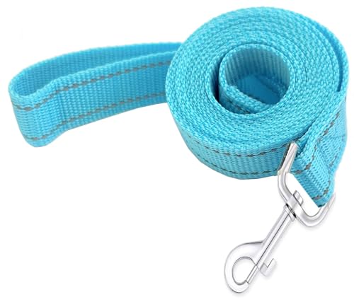 Reflective Dog Leash 4Ft /5 Foot /6 Feet Long, 1 Inch Wide, for Small and Medium Dogs - color: Reflective Sky Blue, size: 1'' x 4 FT