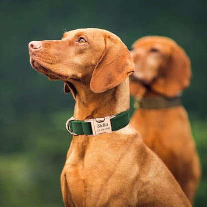 Personalized Velvet Dog Collar with Name - Custom Engraved Buckle, Adjustable Luxury Velvet Collar for Small Medium Large Dogs (Lemon, XS) - color: Lemon, size: XS