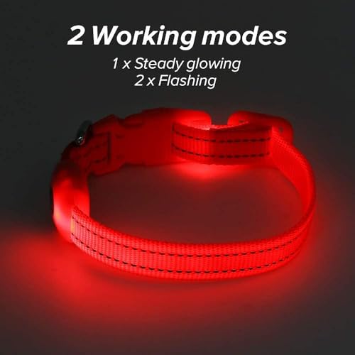 BSEEN Light Up Dog Collar, Reflective LED Dog Collar Rechargeable Glowing Puppy Collars for Small Dogs & Cats, Safety Dog Lights for Night Walking (Red) - color: Red