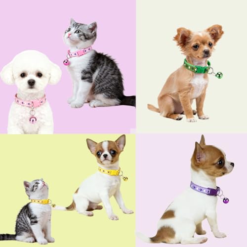 Green Puppy Collar with Bell Leash Set,Adjustable Buckle Heart Print Nylon Dog Collars for Xs XSmall Small Puppy Dogs Cat Kitten X-Small,Neck 7.5-12.5 Inch - color: Green2