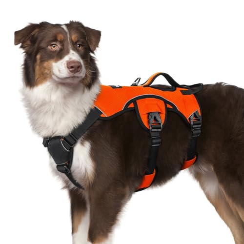 rabbitgoo Escape Proof Dog Harness, Soft Padded Full Body Pet Harness, Reflective Adjustable No Pull Vest with Lift Handle and Leash Clip for Large Dogs Walking Hiking Training, M, Orange - color: Orange, size: Medium (Pack of 1)