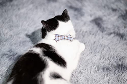 Cat Collar Breakaway Bowtie Safety with Bell Adjustbale Kitten Puppy Solid Plaid Color Set D-[2pcs] Grey - color: D-[2pcs] Grey