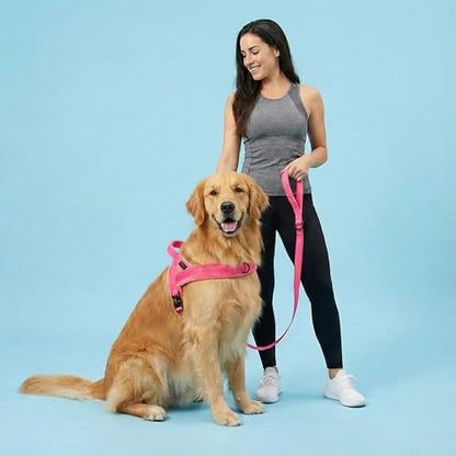 Didog Soft Flannel Padded Dog Vest Harness, No Pull/Quick Fit Reflective Dog Strap Harness, Easy for Training Walking (M:Chest 21-26", Pink) - color: Pink, size: M:chest 21-26"