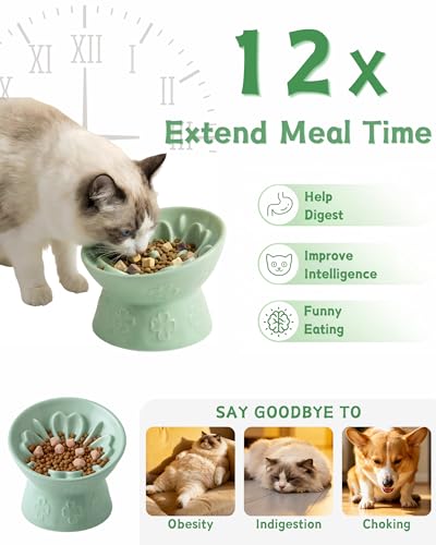 Ceramic Slow Feeder Cat Bowl, 15° Tilted Elevated Cat Slow Eating Bowl for Neck Protection, Anti Vomiting Dog Slow Feeder, Whisker Friendly & No Black Chin for Cats and Small Dogs, Green - color: 02-Green