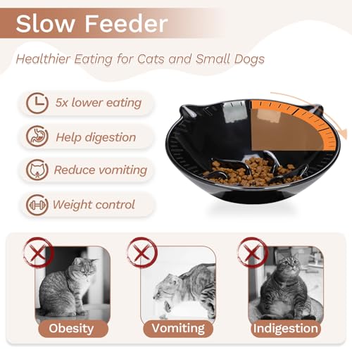 Detachable Slow Feeder Cat Bowl- Elevated Cats Feeder Tilted, 7 Inch Large Extra Wide Raised Cat Food Bowl Whisker Friendly, for Indoor Cats and Small Dogs Anti-Vomiting Black - color: Black