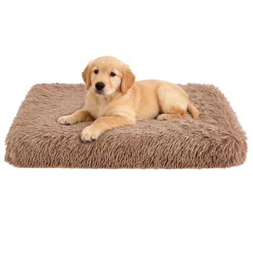 Fluffy Orthopedic Dog Beds for Puppy/Cats with Washable Removable Cover Dog Crate Bed Egg Crate Foam Support Plush Pet Pad Mat with Anti-Slip Bottom (24 * 16,Khaki) - color: Khaki, size: 24"L*16"W