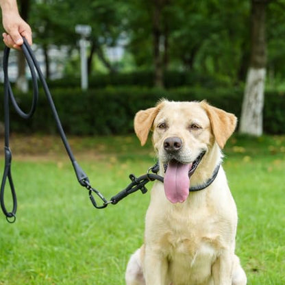 Rope Dog Leash, 6 Foot Heavy Duty Dog Leash with Aviation Aluminum Auto Locking Carabiner, Strong Nylon Pet Lead for Small, Medium, Large Dogs (Black, 6FT) - color: Black, size: 6 Foot Single Handle