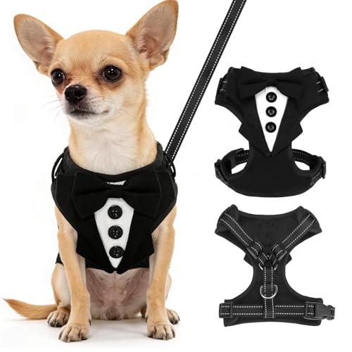 BINGPET Dog Tuxedo Harness for Small Medium Dogs, No Pull Dog Harness and Leash Set,Soft Padded Mesh Step-in Dog Vest Tux Costume for Wedding Outfit Birthday Party Holiday,Pet Formal Wear with Bowtie - color: Black, size: X-Small