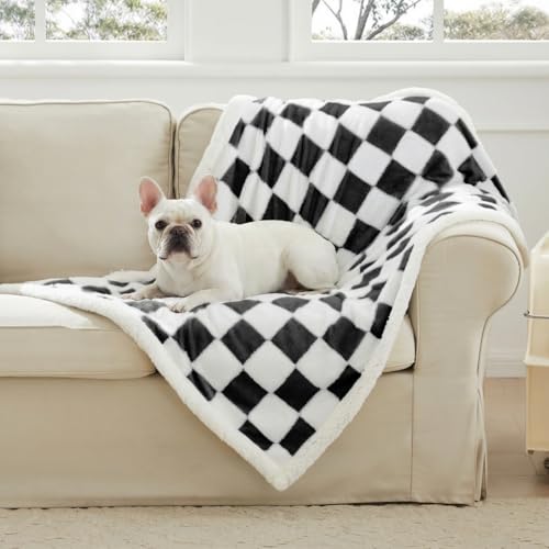 Ohocut Checkered Dog Blanket, Blue Jacquard Sherpa Blankets for Small Dog and Cats, Cute Aesthetic Style Fluffy Fleece Pets Blanket for Couch Protection Washable, 40"x50" - color: Black, size: 40"x50"