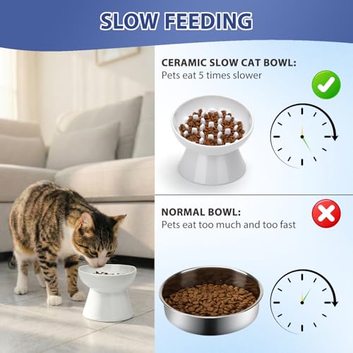 Ceramic Slow Feeder Cat Bowl, 2 Cups Tilted Elevated Cat Slow Feeder Bowl for Dry and Wet Food, Honeycomb Design for Preventing Vomiting & Bloating (White-Honeycomb) - color: White-Honeycomb