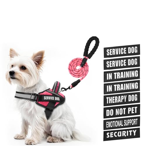 Service Dog Vest Harness and Leash Set, Animire in Training Dog Harness with 10 Dog Patches, Reflective Dog Leash with Soft Padded Handle for Small, Medium, Large, and Extra-Large Dogs - color: Rosy, size: XXS