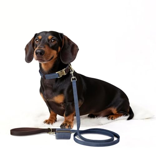 Personalized Dog Collars, Custom PU Leather Dog Collar with Name&Phone Number, Engraved Dog Collar for Small Dogs, Adjustable Durable Collar with Quick Release Metal Buckle, Blue,S - color: Blue, size: S: Neck 11-15", Width 0.6"