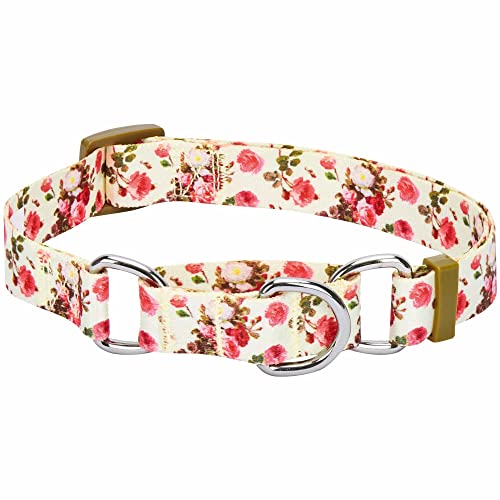 Blueberry Pet Spring Scent Inspired Rose Print Martingale Safety Training Dog Collar, Ivory, Medium, Heavy Duty Adjustable Collars for Dogs - color: Ivory, size: Medium