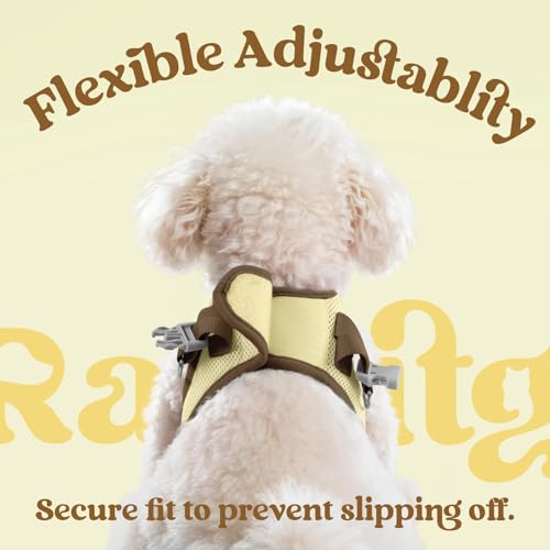 rabbitgoo Dog Harness Small Sized and Leash Set, Step-in Breathable Pet Harness, Soft Walking Reflective Puppy Vest for Small Dogs, Beige & Coffee, XXS - color: Beige & Coffee, size: XXS (Chest: 12.4 - 14.2")