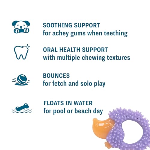 Cutie Chewies Hedgehog Dental Dog Chew Toy — Multi-Textured, Massages Gums, Floats & Bounces for Teething Puppies & Small Dogs, 5" x 3.5" x 1" - color: Hedgehog