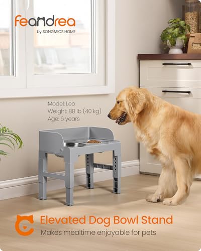 Feandrea Dog Bowls Elevated, Raised Stand with 1 Slow Feeder and Two 304 Stainless Steel Bowls, Adjustable Height and Tilted Design, Dove Gray UPRB103GD01 - color: Dove Gray