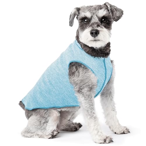 Goldpaw Dog Sun Shirt with UV Protection - Lightweight, Cooling Sun Protection Clothing for Small Dogs - Reduce Heat Absorption - Made in the USA - Machine Washable - Ocean Blue - Size 10 - color: Ocean Blue, size: 10