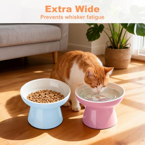 Elevated Cat Food Bowls 2 Pack,Ceramic Raised Cat Bowls with Non-Slip Base,Whisker Friendly Shallow Design for Dry & Wet Food,Anti-Vomiting Cat Feeder,Dishwasher & Microwave Safe (Pink&Blue) - color: Pink&Blue