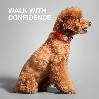 Waterproof Dog Collar, Stink Proof PVC Coated Collar with Lightweight Aluminum Hardware & Transparent Buckle, Heavy Duty for Small Medium Large Dogs, Red, Small - color: Red, size: S