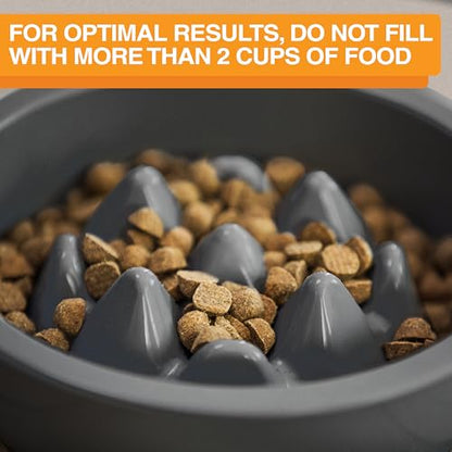 The Niner Slow Feed Bowl - Raised Peaks Slow Down Pets Eating - Fits Elevated Feeders Including Neater Feeder Large Sizes - Gentle on Teeth and Gums - Holds up to 2 Cups (Gunmetal Grey) - color: Gunmetal Grey